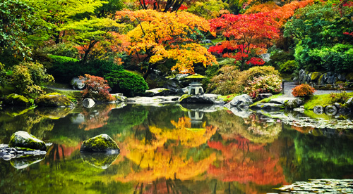 Get inspired by Japanese gardens