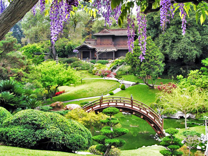 Zahrada po Japonsku